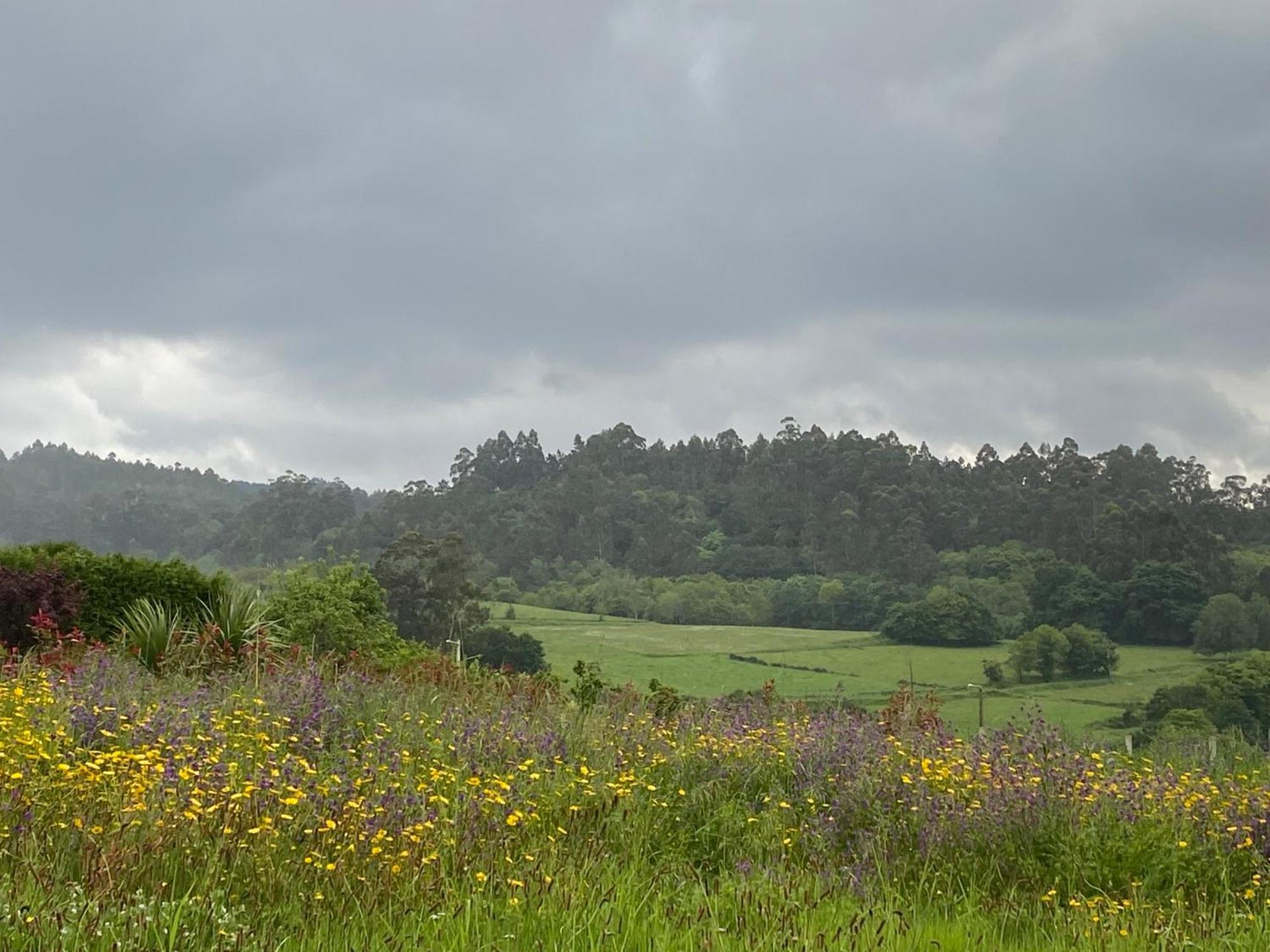 Casa Vanguardista En El Campo Cerca De Santiago Pontevedra Esterno foto